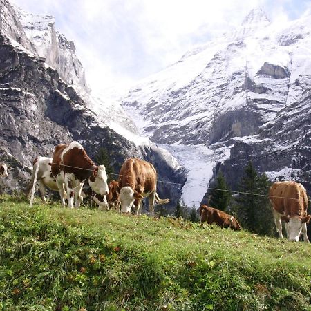 Firstsunne Appartement Grindelwald Buitenkant foto