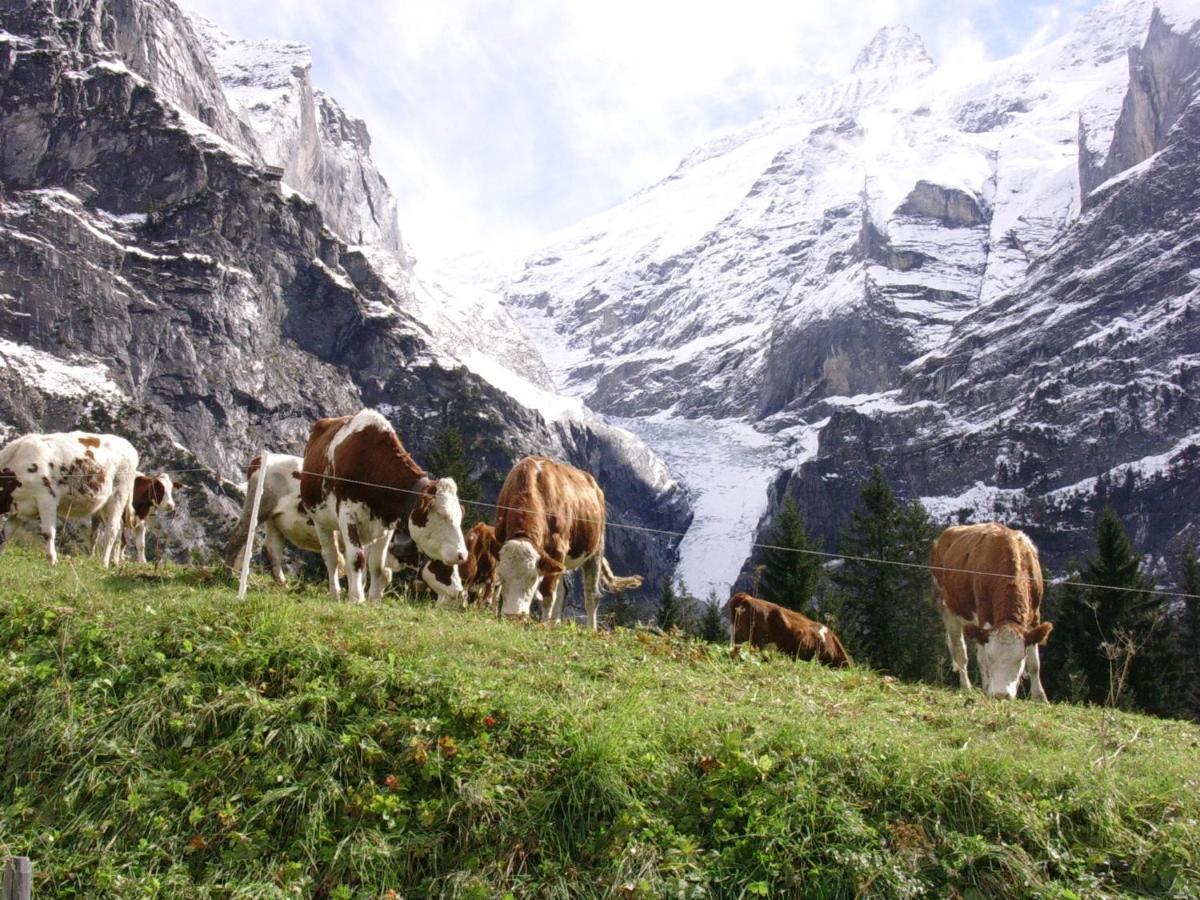 Firstsunne Appartement Grindelwald Buitenkant foto